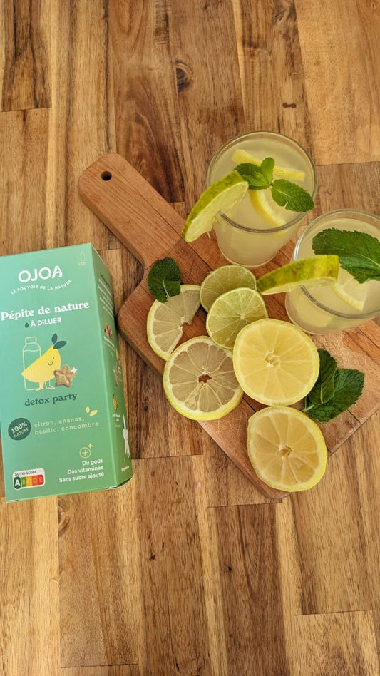 Fresh Tropical Mojito Mocktail Granita 🍋🌴